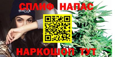 прущие грибы Баксан